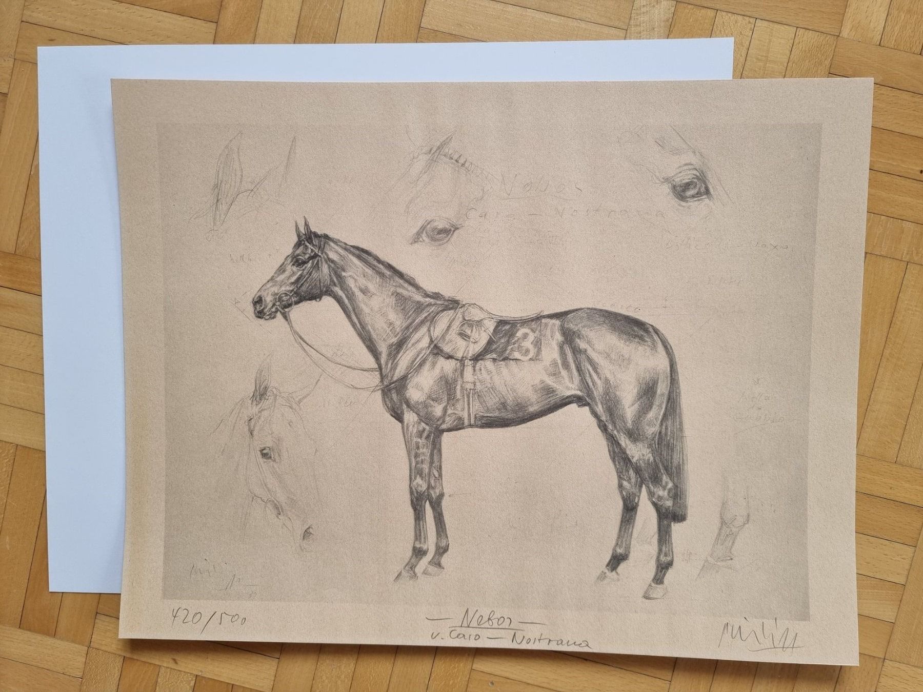 Grafica & Litografie: Klaus Philipp Kunstdruck  Nebos – Nuovo (secondo la descrizione) da Arosa venduto da horseracing