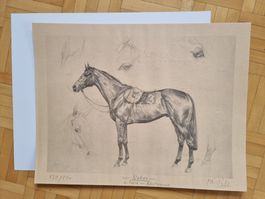Klaus Philipp Kunstdruck  Nebos