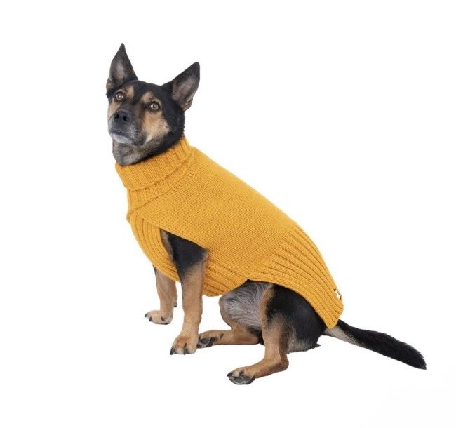 Abbigliamento: Hunde Pullover  – Nuovo e nell'imballaggio originale da Küssnacht am Rigi venduto da Rs.16