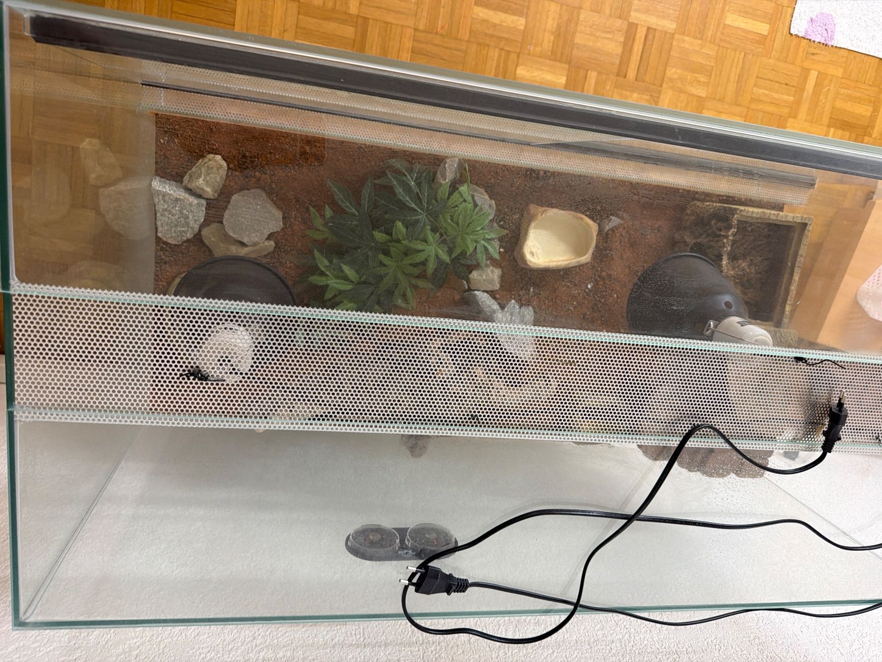 Terrario: Terrarium 100 x 50 x 50cm Leopardgecko – Usato da Menziken venduto da Razak 5