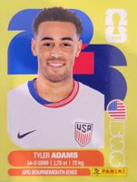Panini FIFA World Cup USA 8