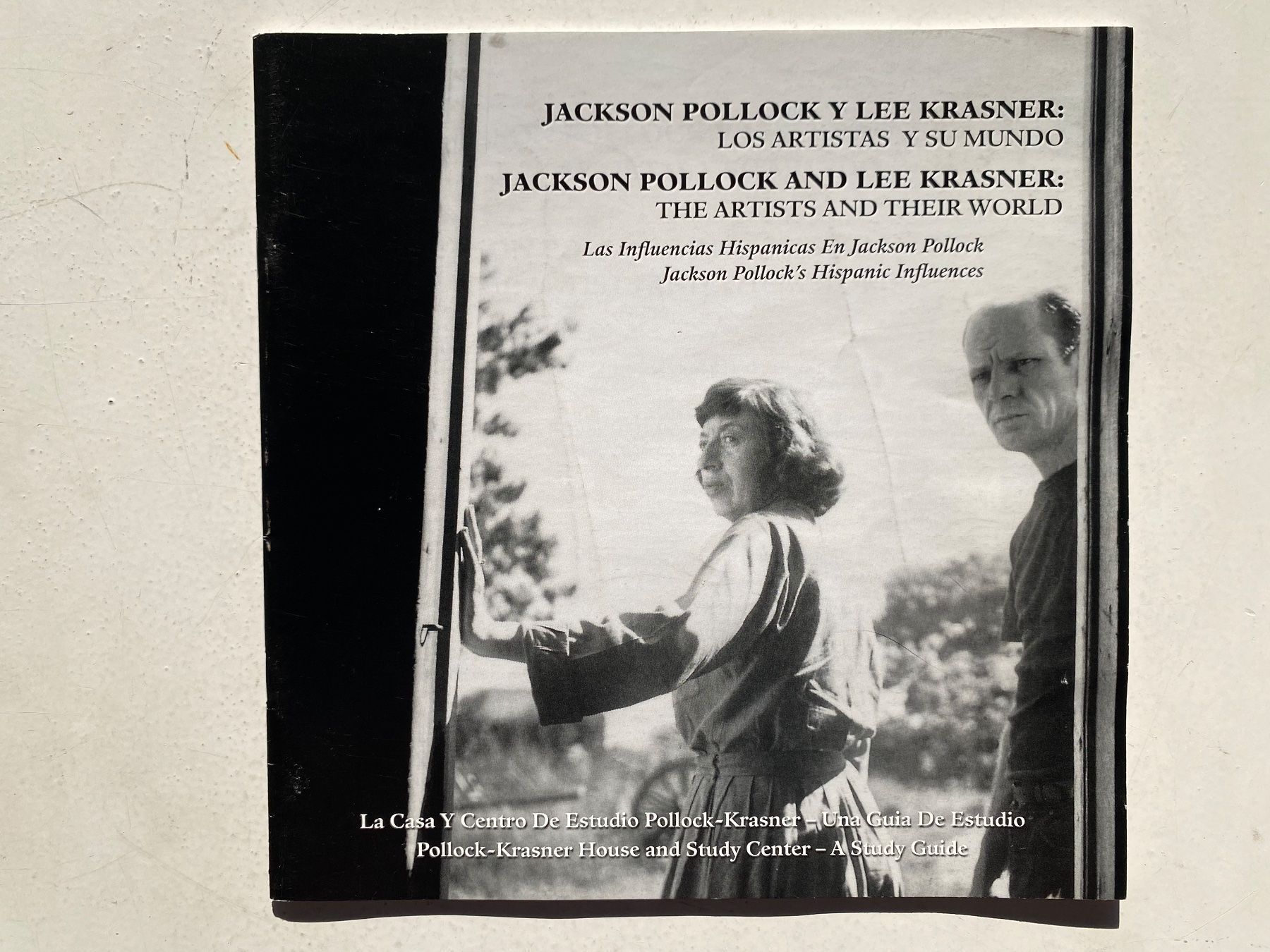 Libri: Jackson POLLOCK AND Lee  KRASNER - selten – Usato da Zürich venduto da lesgarcons