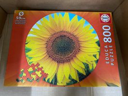 Puzzle Sonnenblume 800 Teile