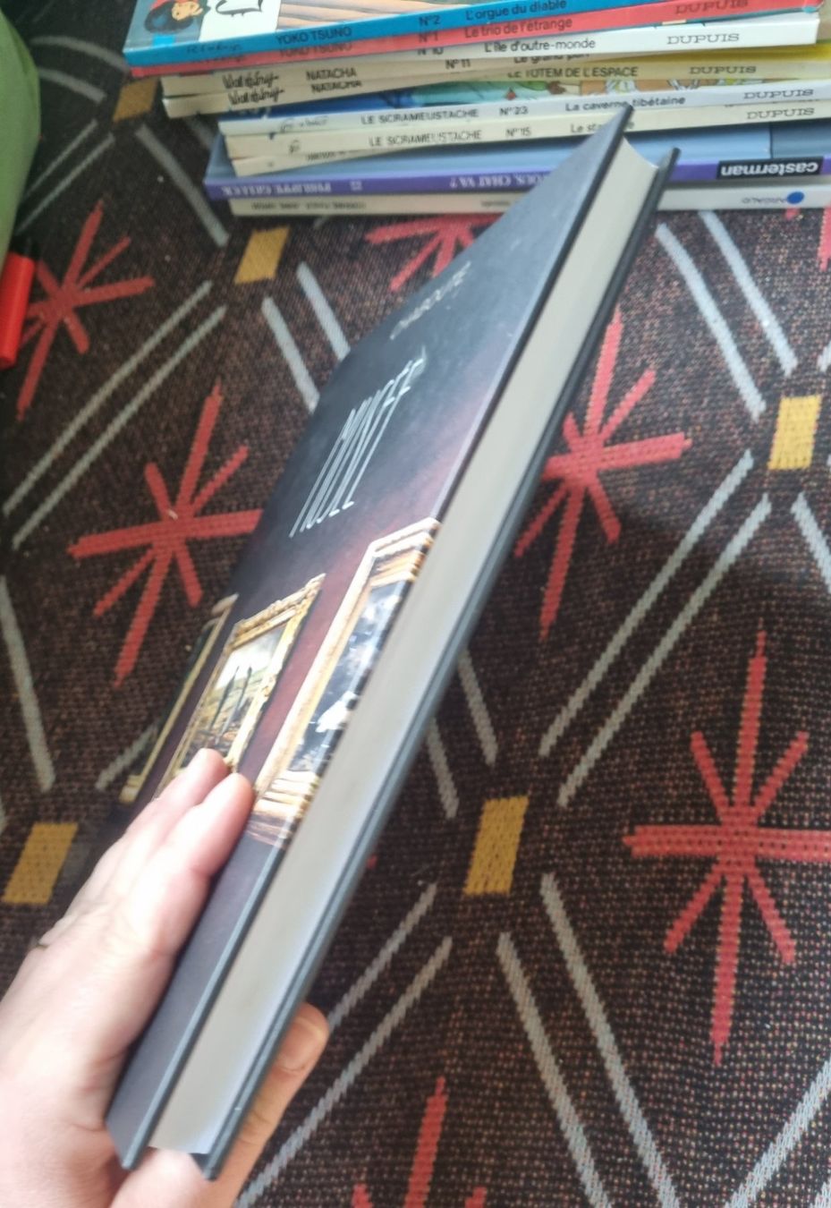 Libri: Livre "Musée" Chabouté – Usato da Fribourg venduto da sal_5ln6 8