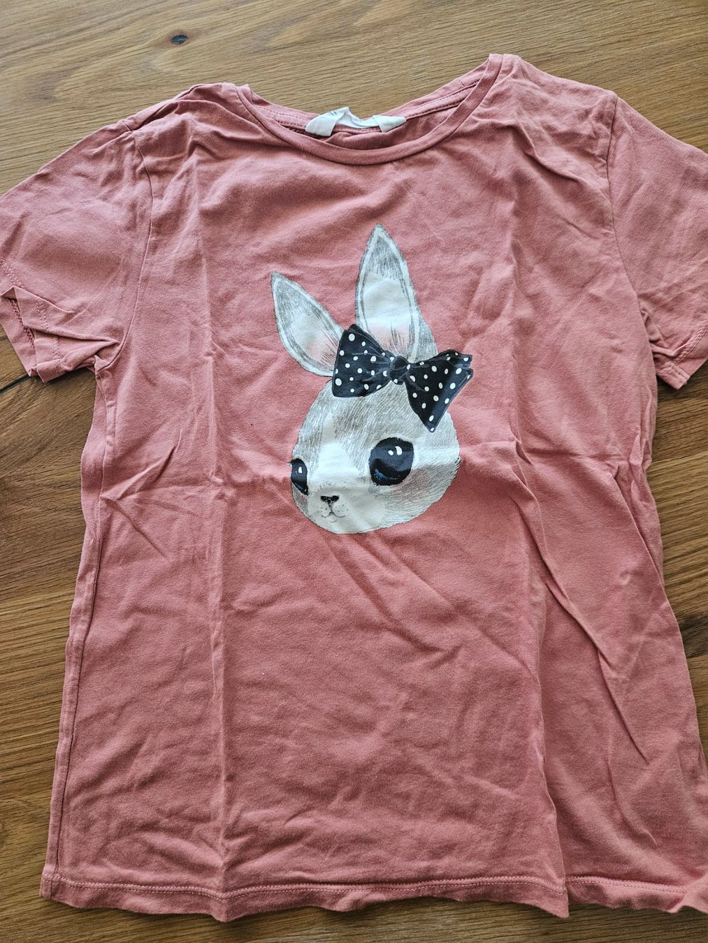H&M Camicette, T-shirt & Top: H&M Tshirt Gr. 134-140  Hase – Usato da Engelburg venduto da ynnoc19