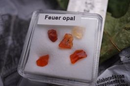 Feuer Opal Edelstein   im Böxli  ab 1.-    Räumung