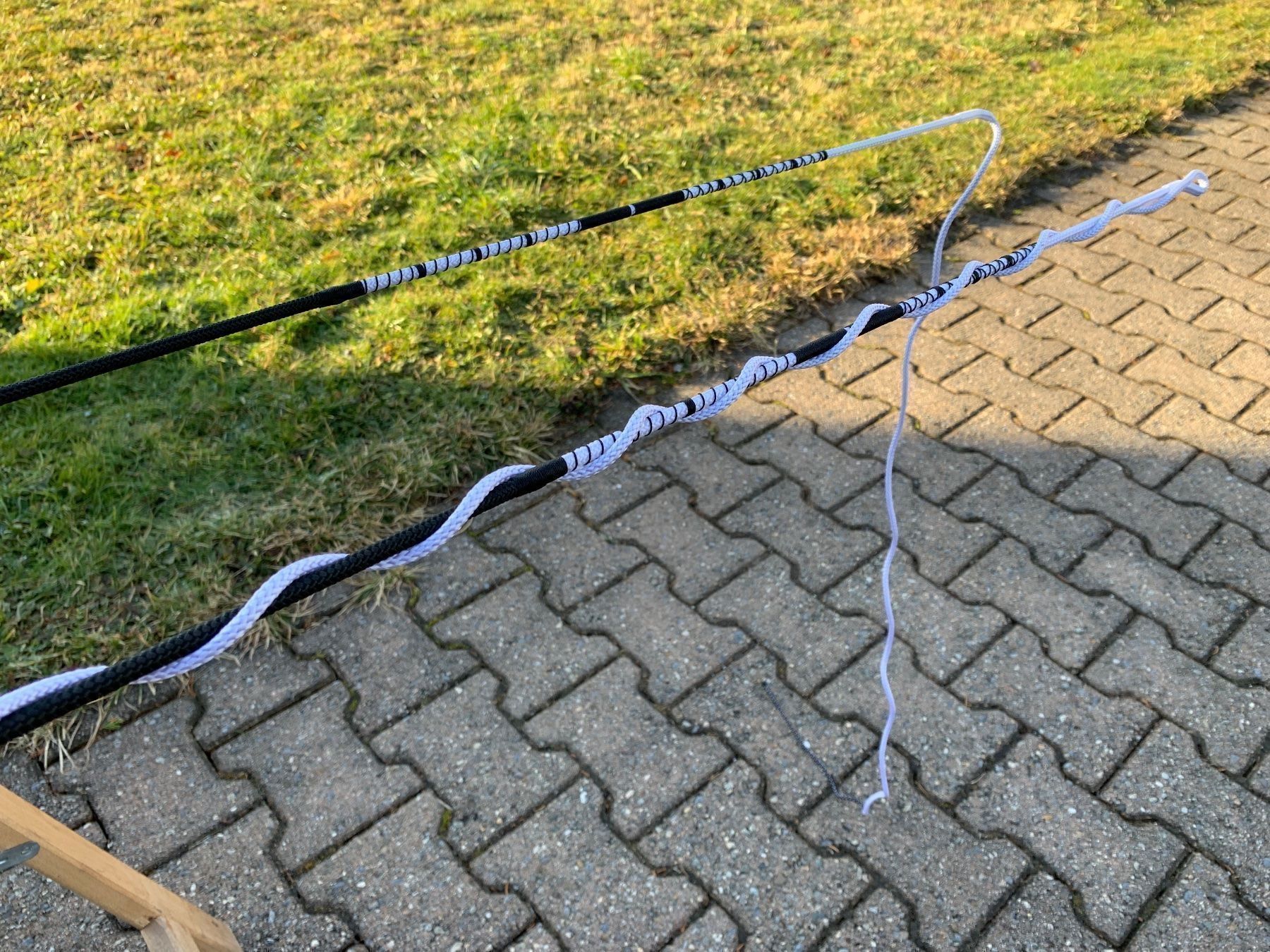 Carrozze: 2 schöne Fahrpeitschen – Usato da Feldbach venduto da Fea1 4