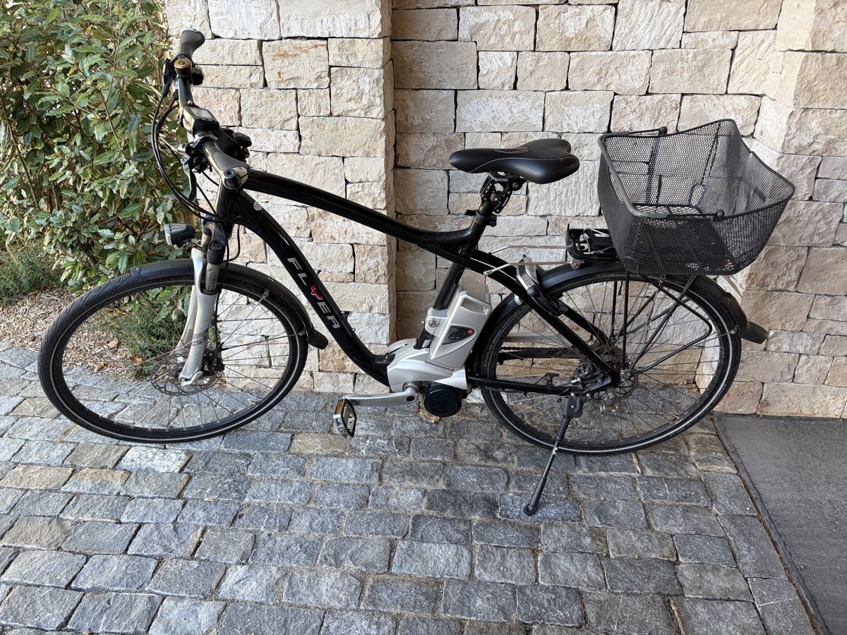Flyer Biciclette: Flyer Männer Elektrofahrrad – Difettoso da Solothurn venduto da jen_s86y