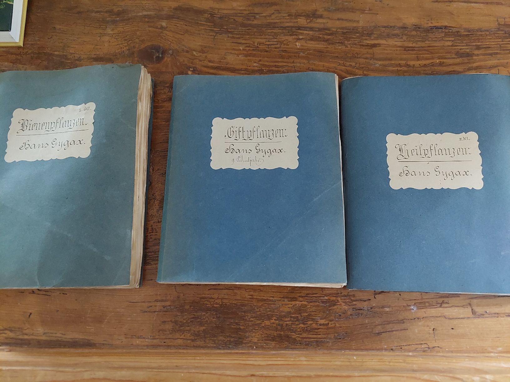 Libri: Herbarium um 1920-1930 – Usato da Hünibach venduto da Raggamuffjn