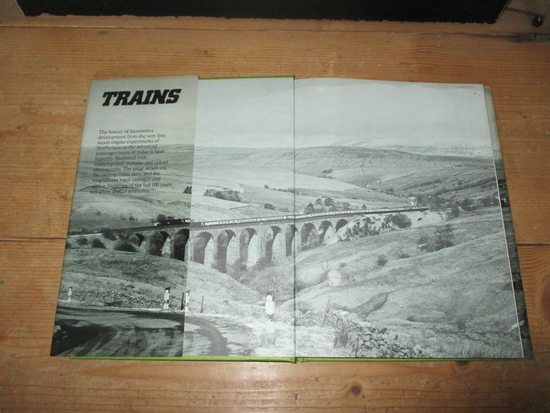 Bücher: TRAINS – Gebraucht aus Flims - Dorf von Stagediver 2