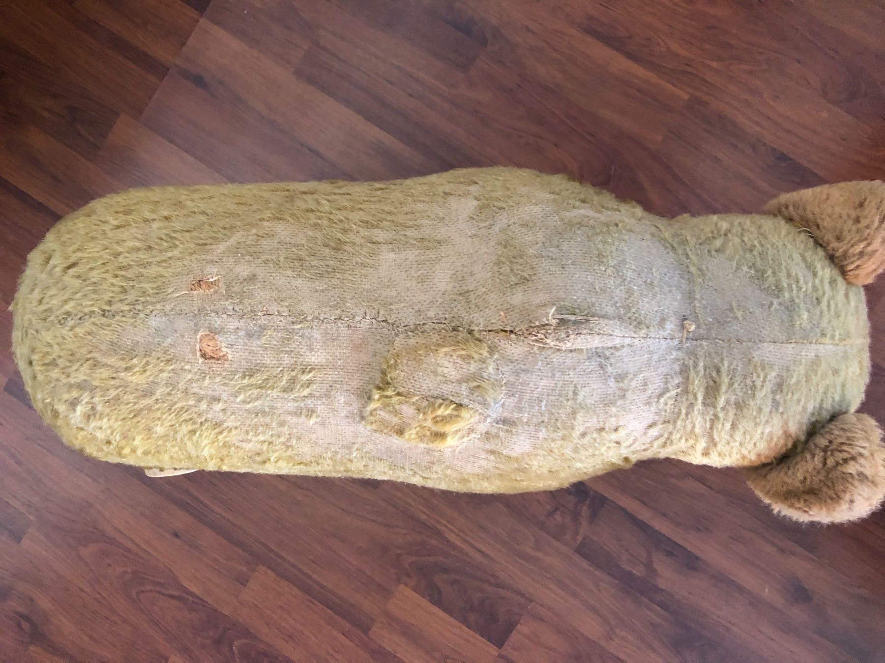 Giocattoli: Teddy bear ancien – Usato da Vouvry venduto da tintin2308 6