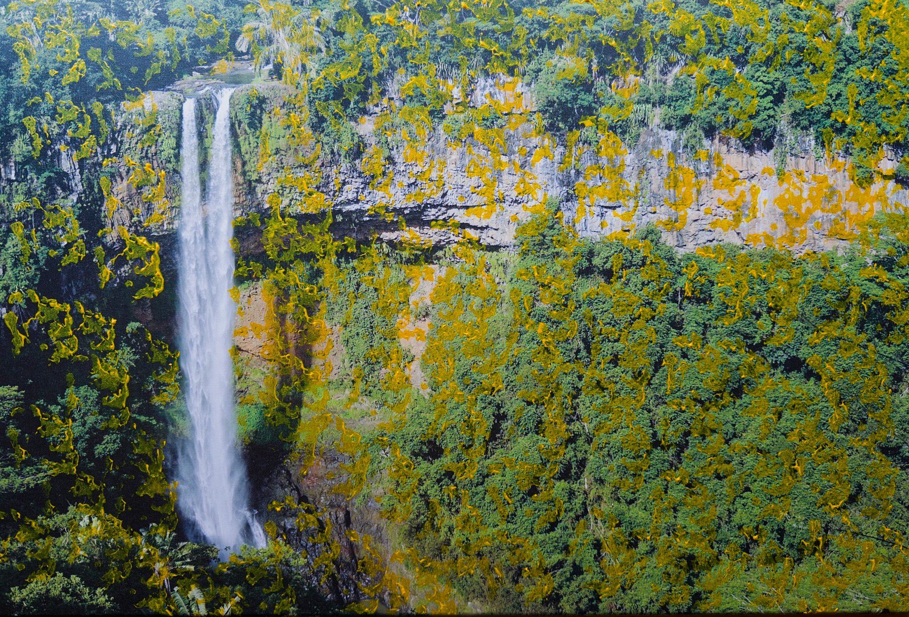 Poster & Bilder: ART "Traum von Mauritius" – Gebraucht aus Wenslingen von marcello4one 1
