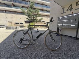 Tokyo Bike "The classic"