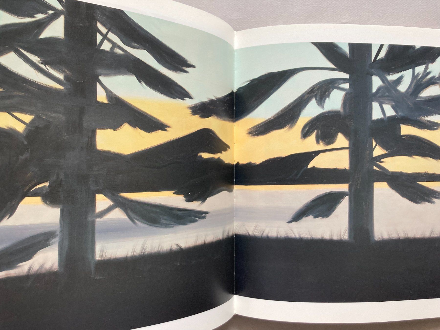 Libri: Alex Katz: Landscapes – Usato da Zürich venduto da Aisthesis 1