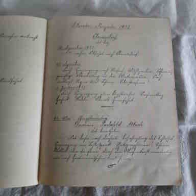 Album: Poesie oder Erinnerungsalbum von 1914 – Usato da Abtwil SG venduto da luupsy 6