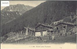 Chalets pres Finshauts - Kühe, chevre vaches - animee