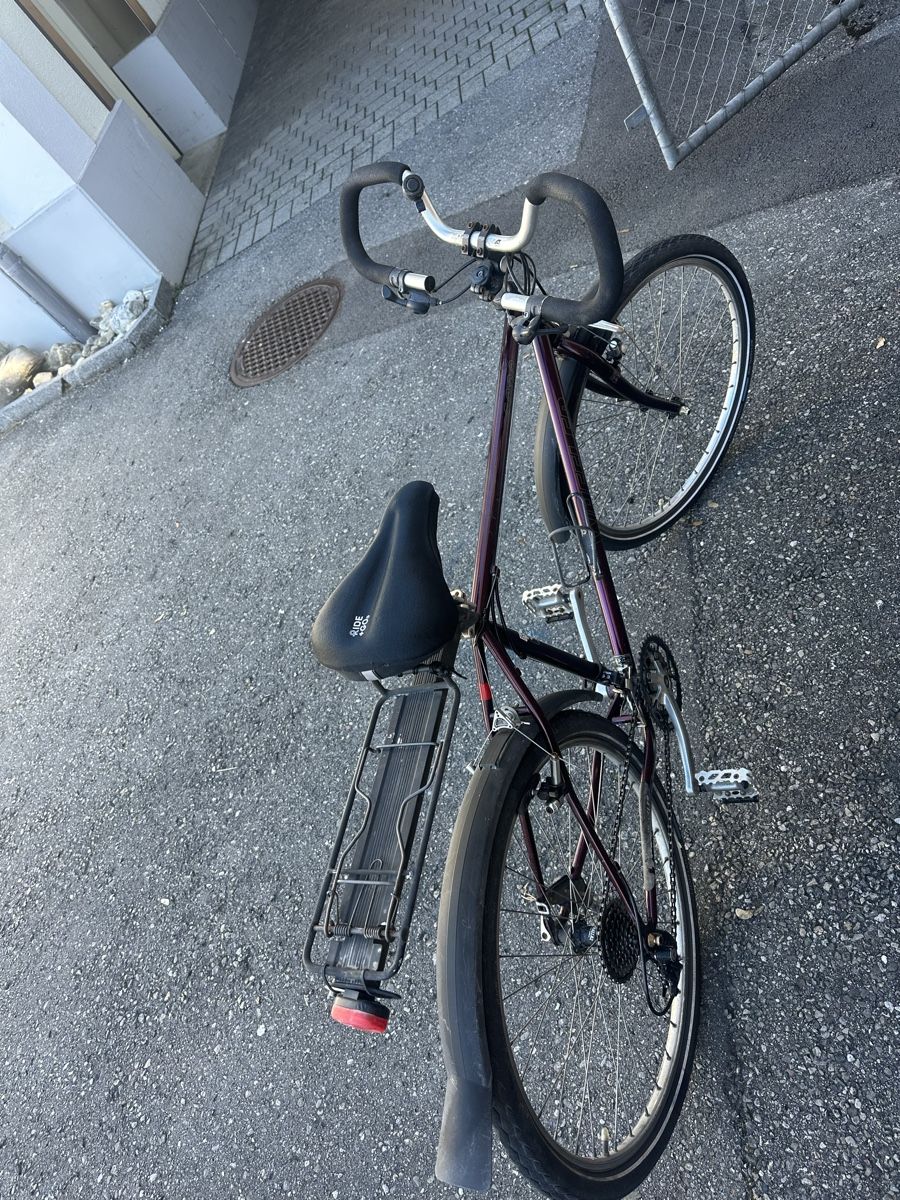 Wheeler Biciclette: Velo Wheeler 6800 – Usato da Heerbrugg venduto da sha_6bxl 3