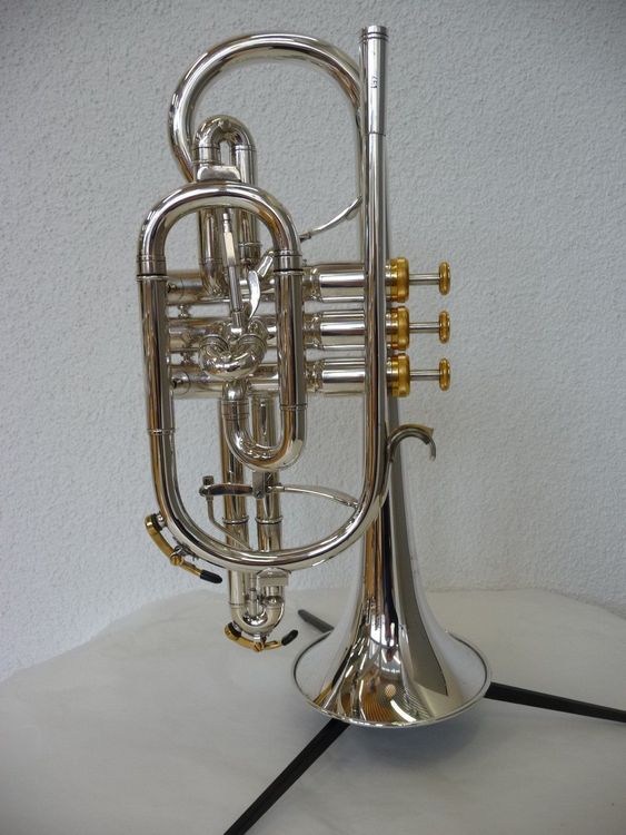 Bb Cornet WILLSON Celebration Acheter sur Ricardo