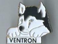 Placchette & Badge: Hund PIN – Usato da Zürich venduto da t24_de