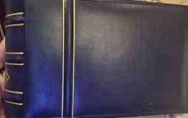 Leuchturm Taschenordner mit 100 Postkarten Ganzsachen