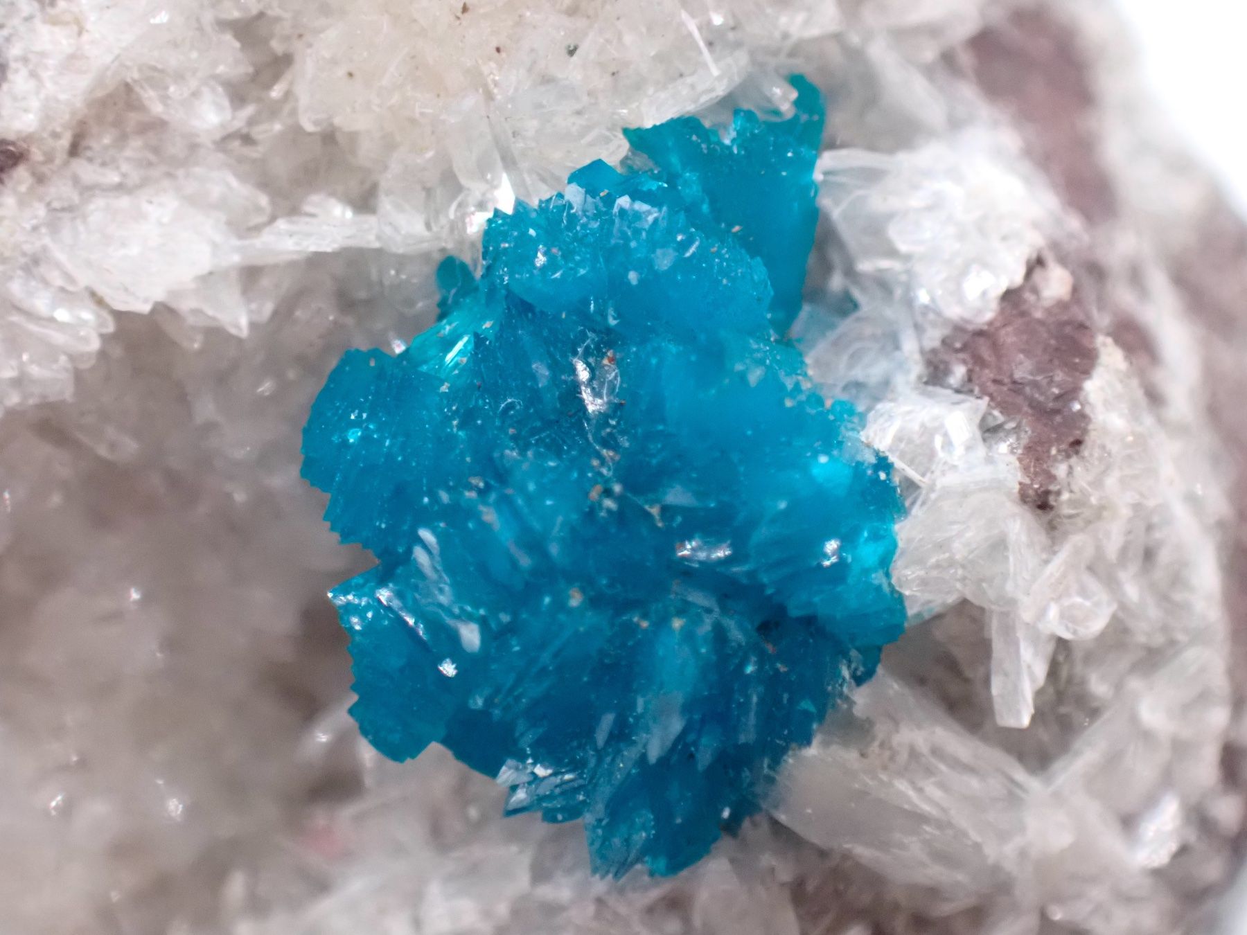 Mineralien & Heilsteine: Cavansite, Pune Dist., Maharashtra, India – Gebraucht aus Figino von panshop 3