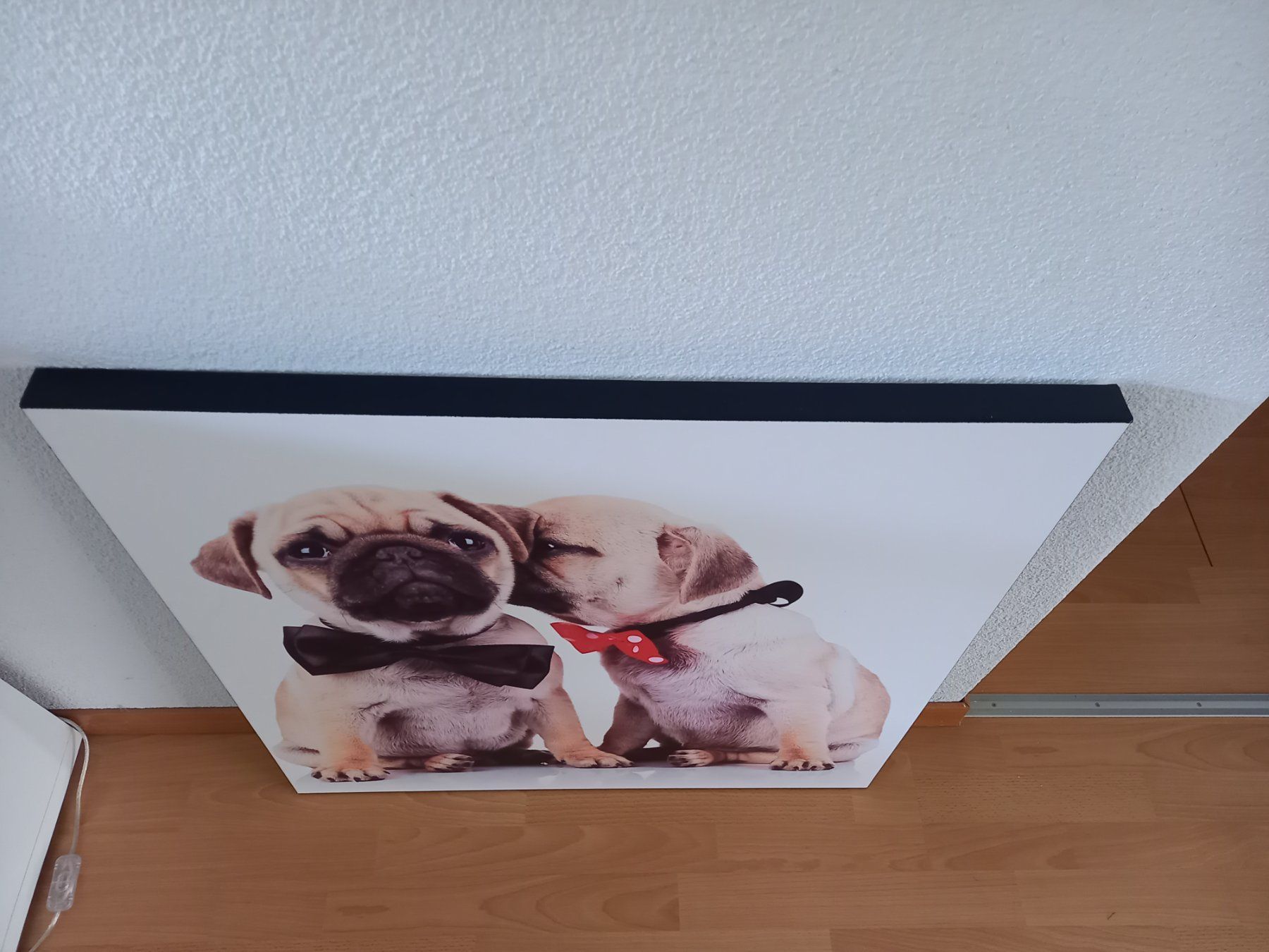 Foto & Immagini: Süsses Leinwandbild mit Mops-Welpen, ca. 76 x 76 cm – Usato da Obernau venduto da Corolli 2