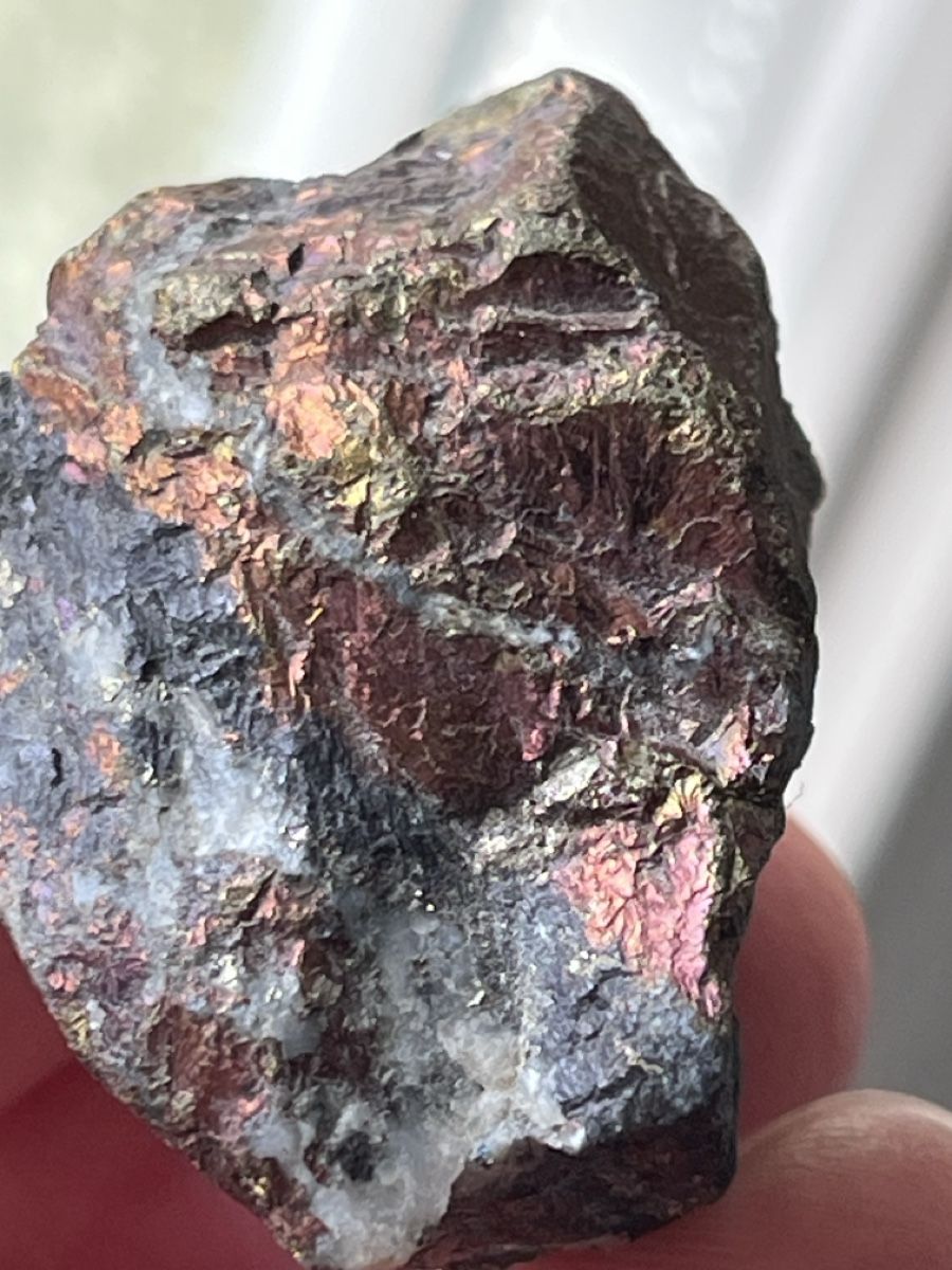 Mineralien & Heilsteine: Top! Bornite „Bezeichnung Buntkupferkies“ aus Nevada, USA – Gebraucht aus Uster von Arrayo 1