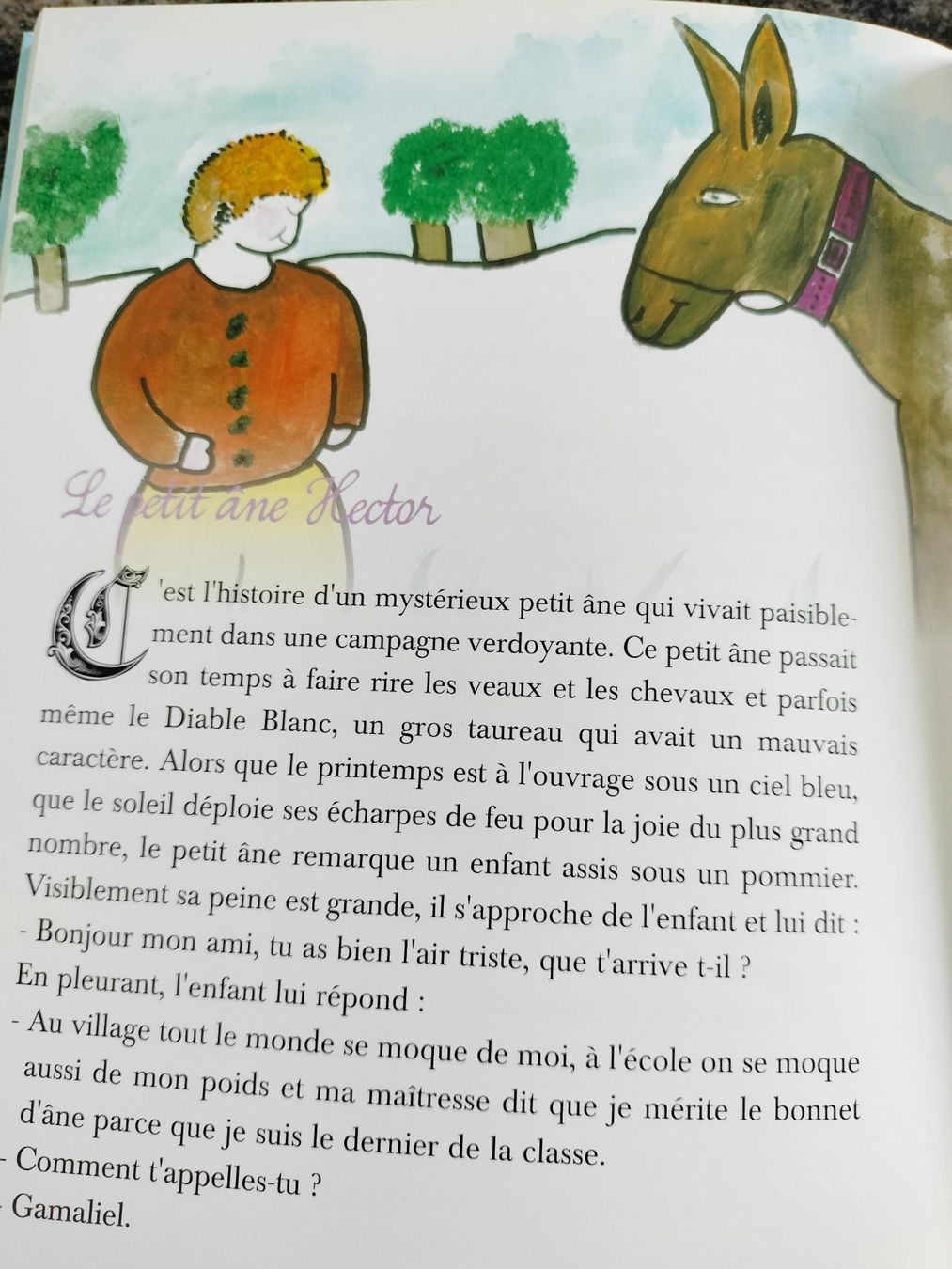 Bücher: Les contes de Noé – Gebraucht aus Cortaillod von rozinna 9