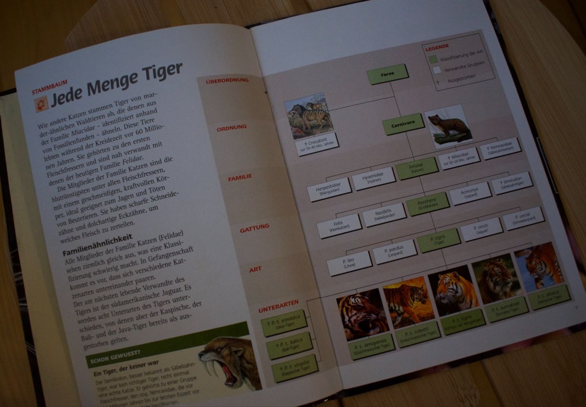 Tutti i DVDs: DVD TIGER der Sümpfe – Usato da Eschikofen venduto da anj_98vh 3
