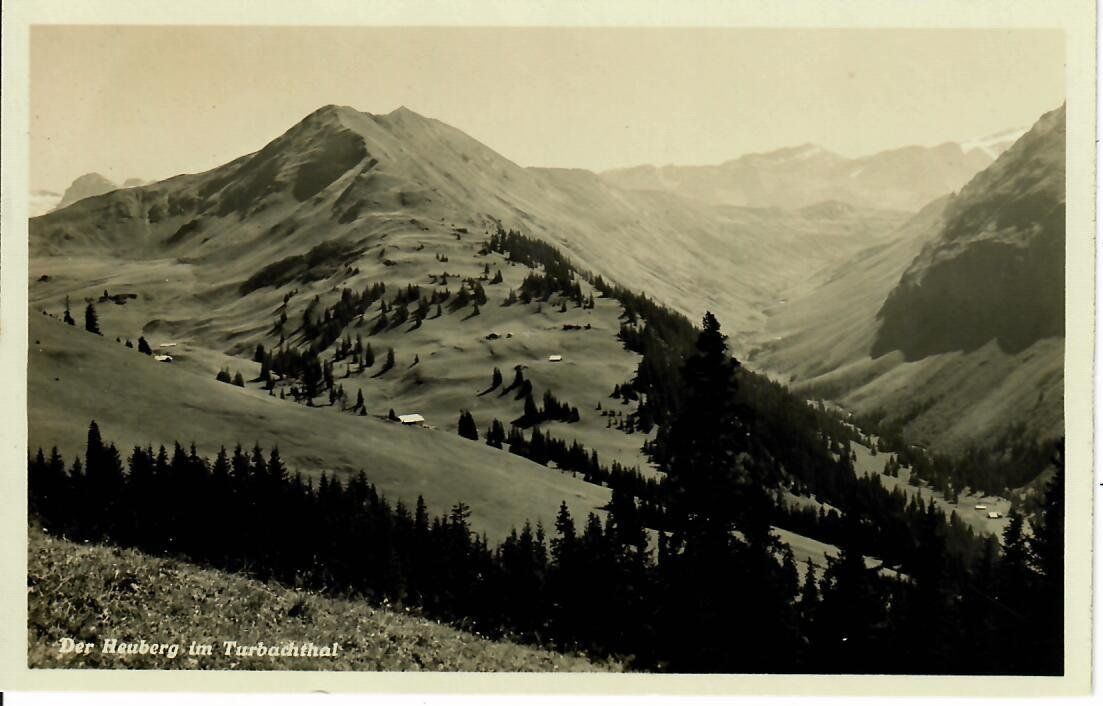 Ansichtskarten: der Heuberg im Turbachthal – Gebraucht aus Hochdorf von Ziegel-16