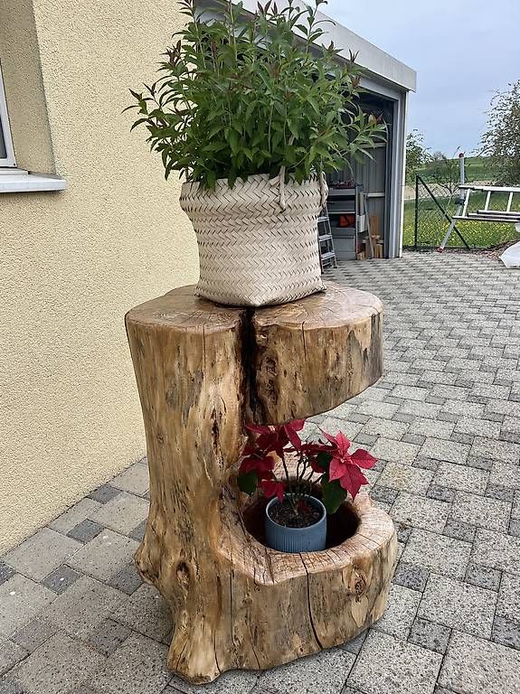 Altro in Decorazioni & Accessori: Tronc de décoration bois d orme. – Usato da Chevroux venduto da ateca2017 3