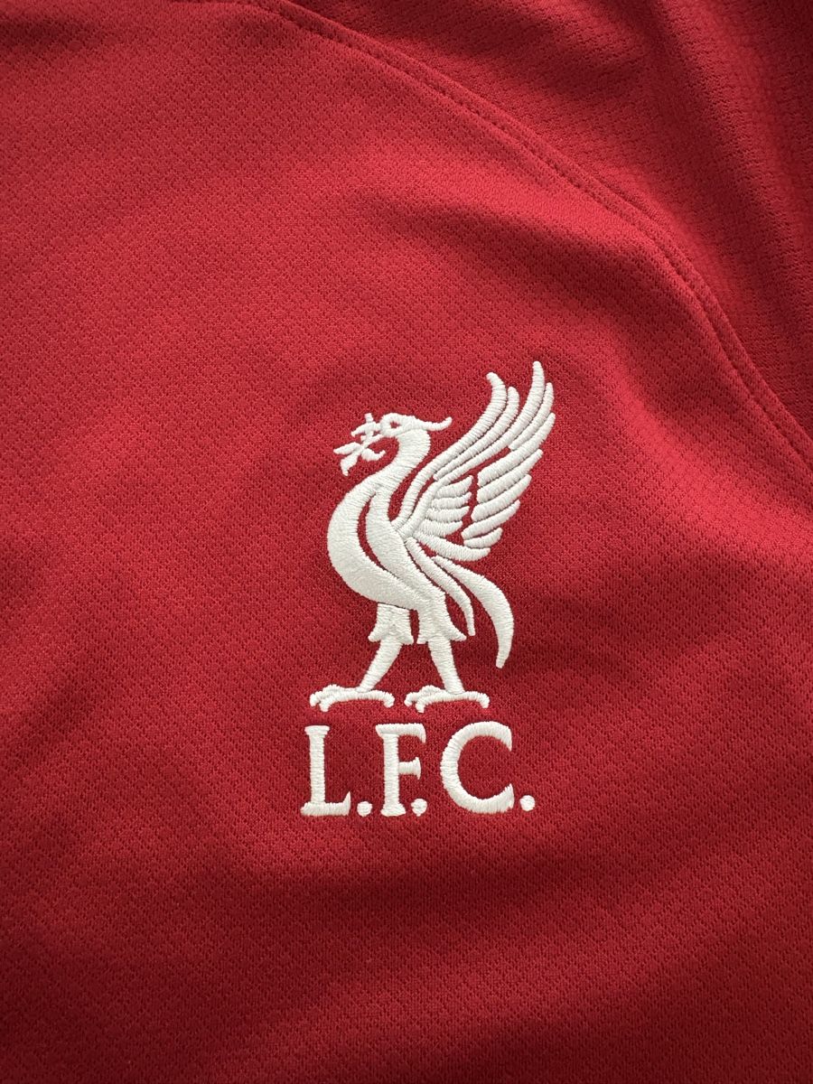 Liverpool Fc Canottiere & Pantaloni: Fc Liverpool Trikot 22/23 – Usato da Domat/Ems venduto da tim_lq6b 1