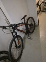 Bergamont Revox 29" Marathon Race MTB - Top Zustand!