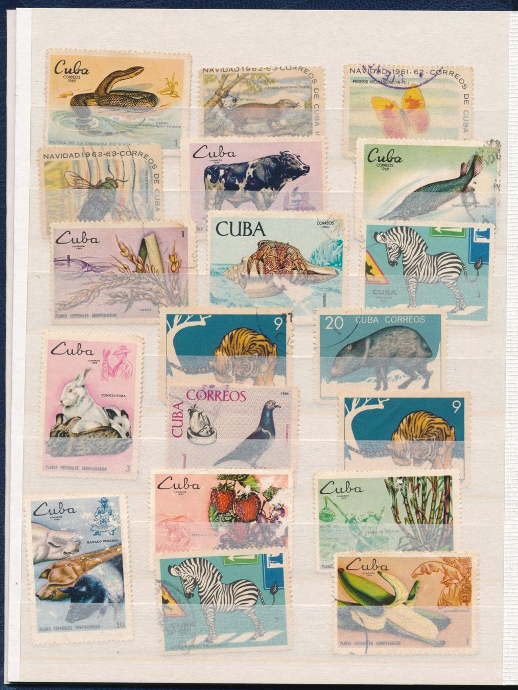Tutti i francobolli: Briefmarkenalbum Cuba – Usato da Bonau venduto da Profila3 4