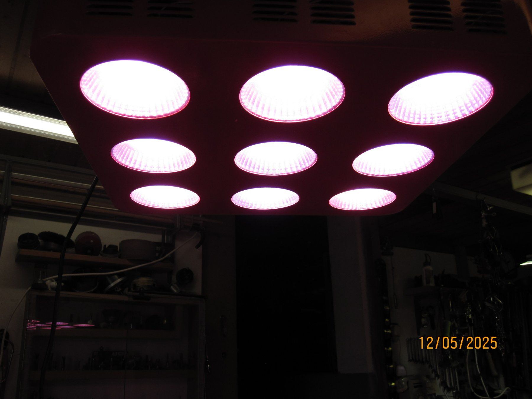 Lampes: LED Lampe für Planzen – D'occasion à Beinwil am See par kari50