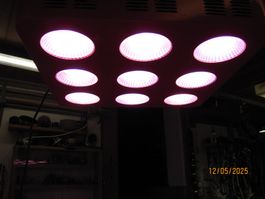 LED Lampe für Planzen