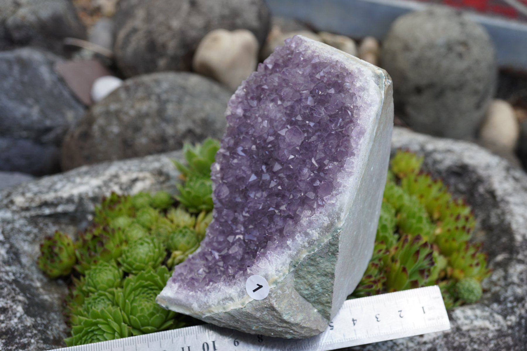 Minerali & Pietre curative: Amethyst Drusen Stück  ca 13cmx 8cm    no1 – Nuovo e nell'imballaggio originale da Eschenbach SG venduto da topstone 1
