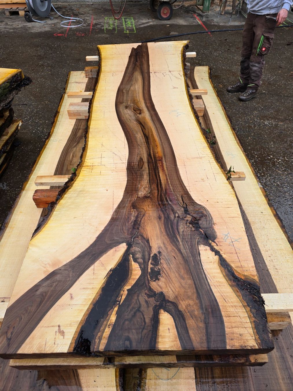 Articoli in legno: Nussbaumbrett Nr. N117 – Nuovo (secondo la descrizione) da Ramsei venduto da Waelchris 1