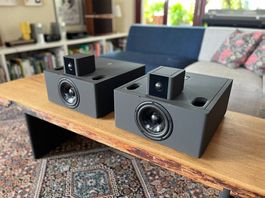 Strauss Elektroakustik SE-NF-3 Moniteur de studio