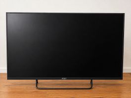 SONY Bravia TV / 43 Zoll