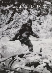 Poster & Bilder: Poster Bigfoot – Neu und originalverpackt aus Schwyz von rs-trend