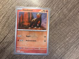 Hunduster SAF DE NM