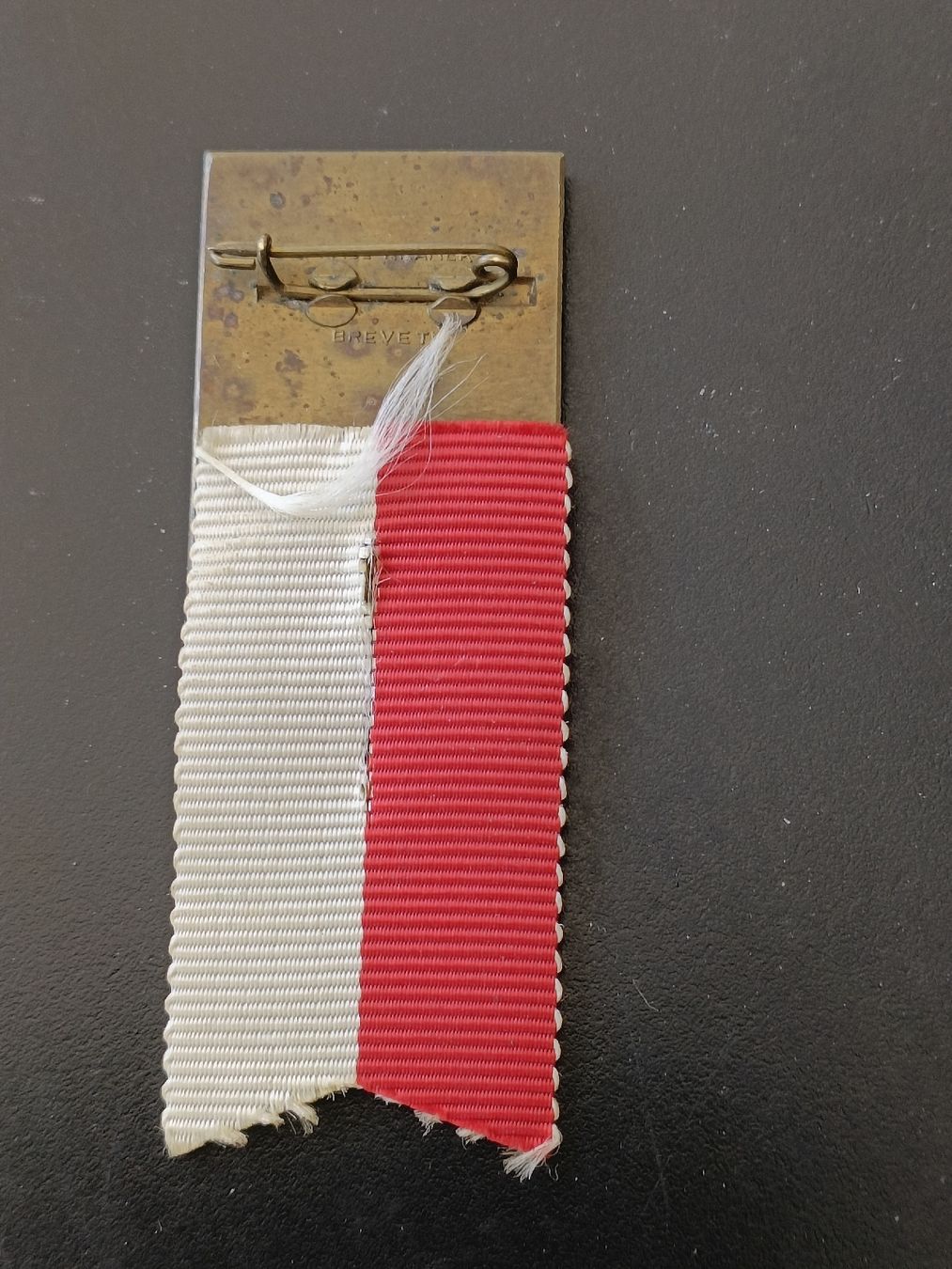 Schweizer Armee Placchette & Badge: Altes Abzeichen / Mobilisation 1914 - 1934 – Usato da Brugg AG venduto da Ente015 1