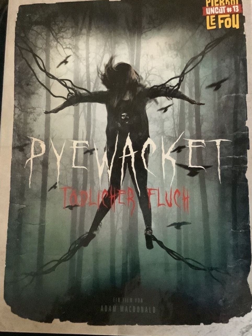 Tutti i DVDs: Pyewacket Tödlicher Fluch Mediabook UNCUT! – Nuovo (secondo la descrizione) da Oberkirch LU venduto da ThE_CoLLecTor666