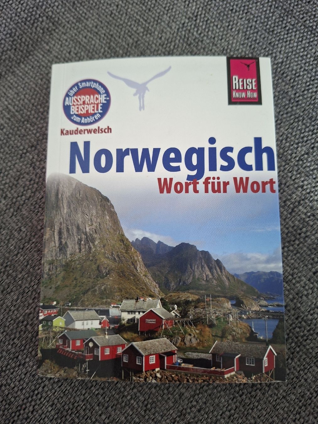 Libri: Wörterbuch Norwegisch - 2017 – Usato da Hirzel venduto da larissagschwend