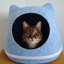 Profile image of xes_65bk