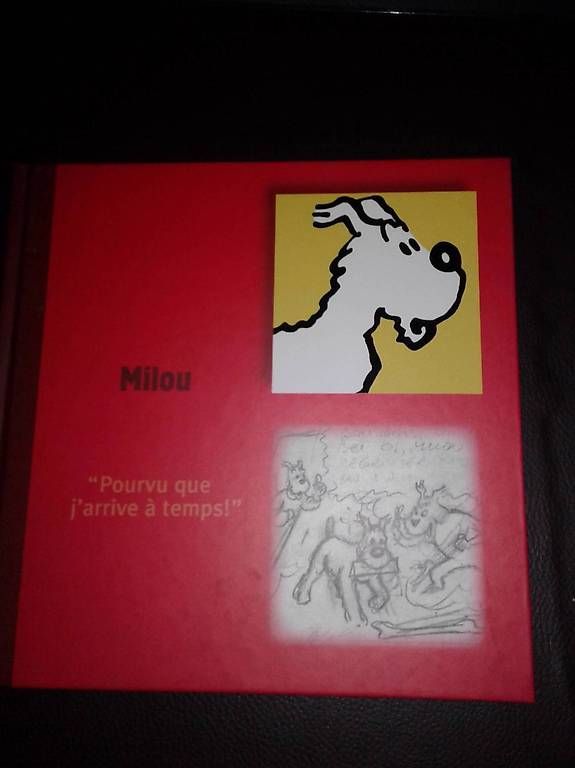 BD: collection Tintin – D'occasion à Froideville par super_tramp 4