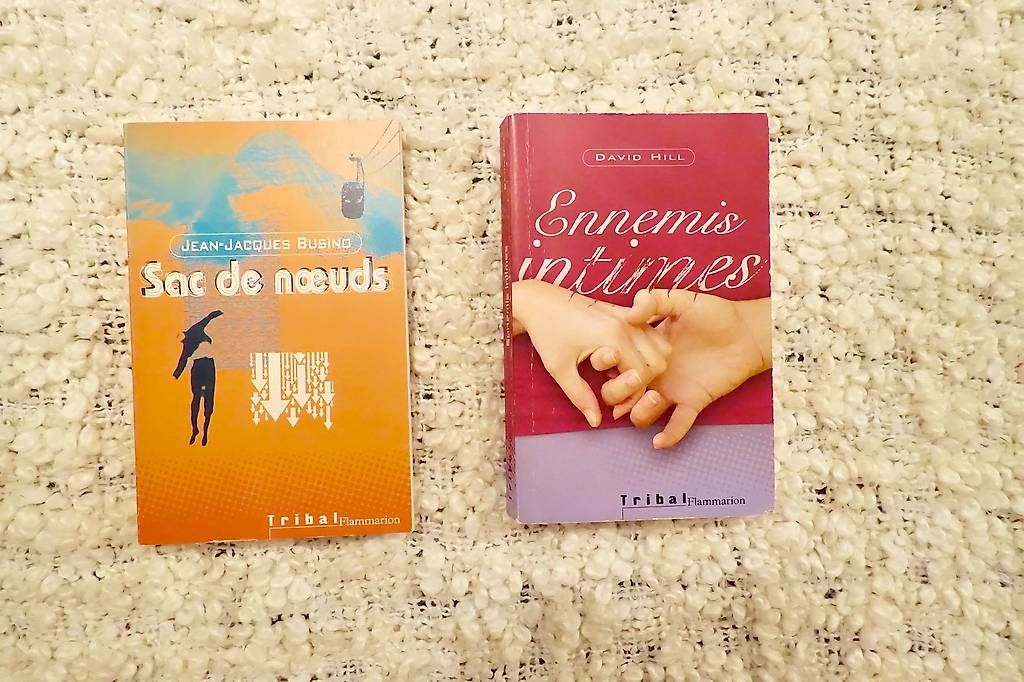 Libri: Série Tribal:Ed Flammarion – Nuovo (secondo la descrizione) da Genève venduto da fto_sz8d 3