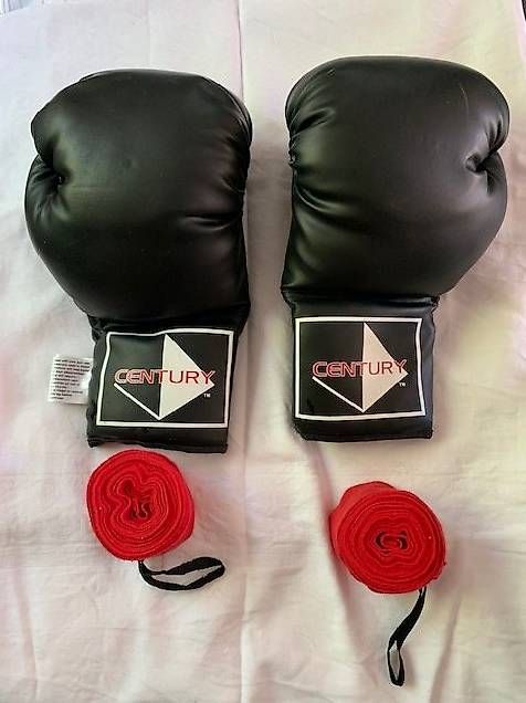 Sacchi da boxe: Boxsack Century – Usato da Schötz venduto da maku_62 4