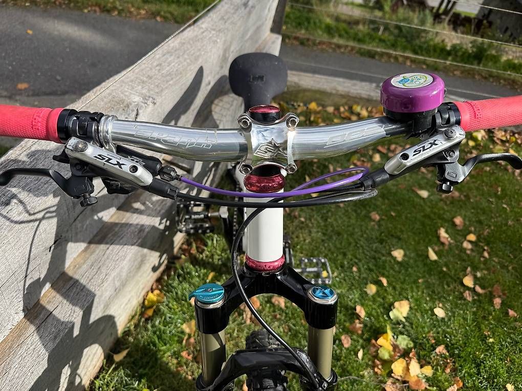 Velos: VTT Fully - Lil Shredder Prodigy - 20 – Gebraucht aus Gimel von SJDOYLE2011 2